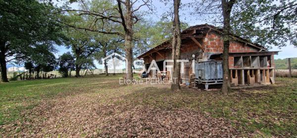 Maison rénovée 180 m², cadre intime et authentique