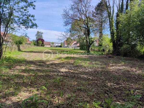 Terrain de 1 959 m²