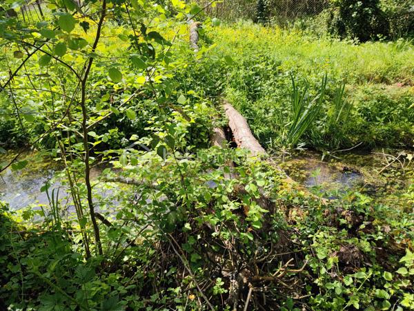 Terrain de 1 959 m²