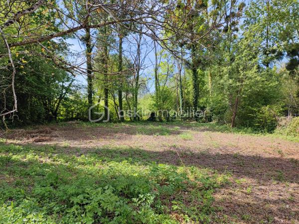Terrain de 1 959 m²