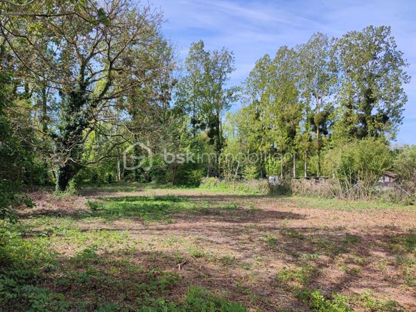 Terrain de 1 959 m²