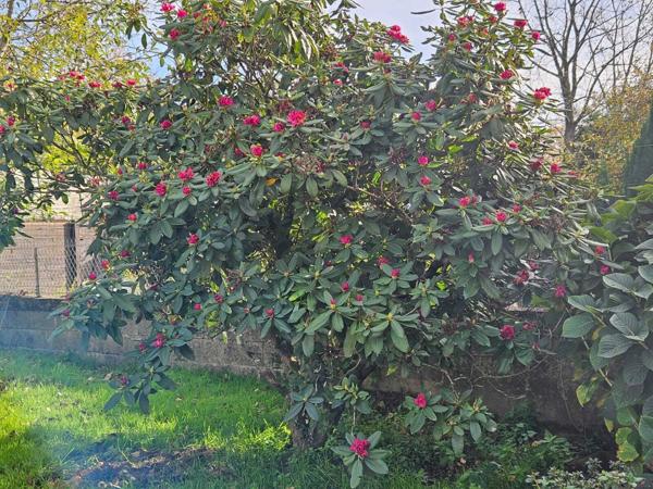 Maison 102m² quartier Gesvrime 3 chambres