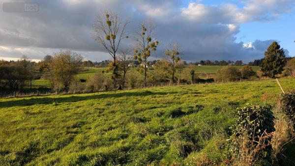 Maison à vendre à Chérencé-le-Héron dans la Manche (50800), ref : 50038-2681