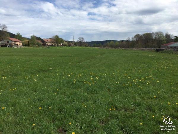 A VENDRE TERRAIN A BATIR
