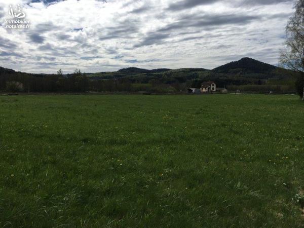 A VENDRE TERRAIN A BATIR
