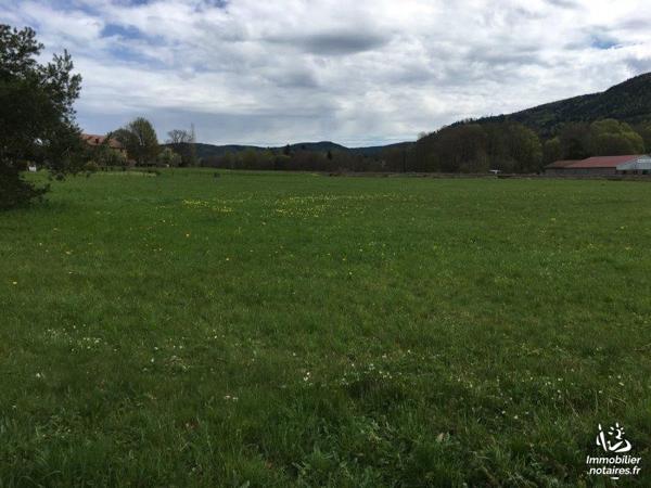 A VENDRE TERRAIN A BATIR