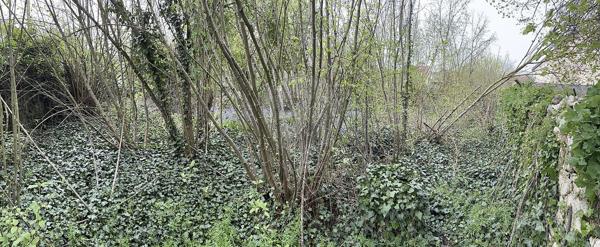 Terrain  en vente - Val-d'Oise - 95