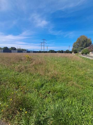 Terrain à vendre proche de LANNEMEZAN (29)