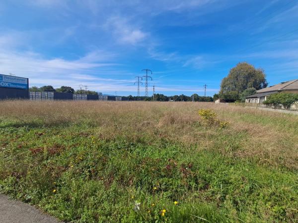 Terrain à vendre proche de LANNEMEZAN (29)