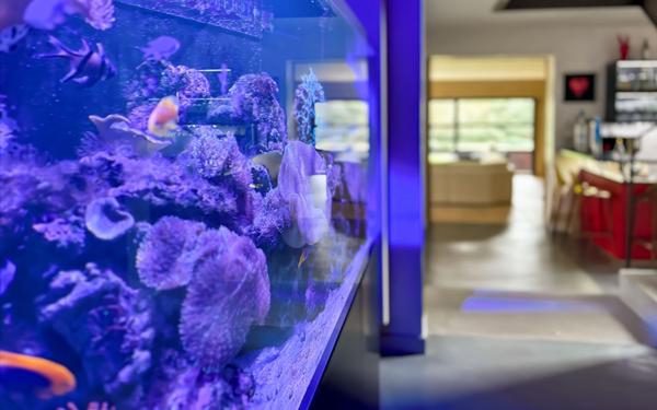 Maison à vendre    8 pièces • 500,94 m2 La Roche-sur-Yon