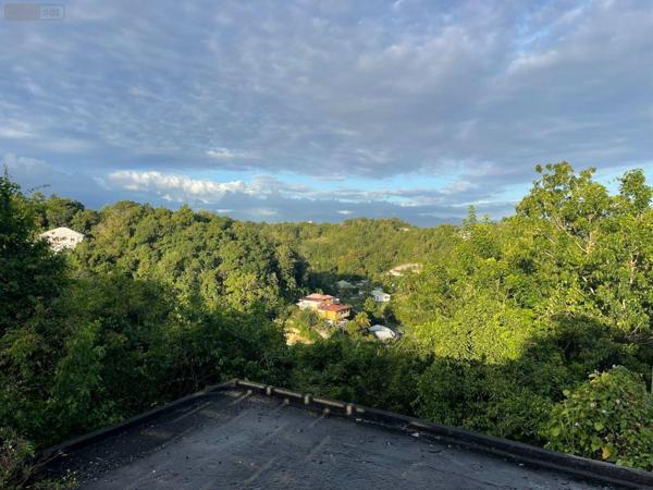 Propriete à vendre à Les Abymes en Guadeloupe (97139), ref : 97110/20   
Beson