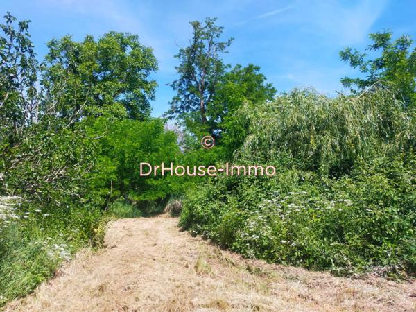 Terrain à vendre de 2 600 m²
