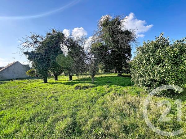 Terrain à vendre  1504 m2 LA GRANDE PAROISSE - 77