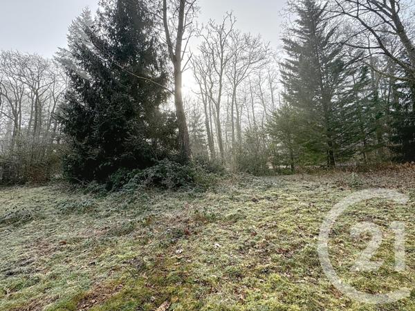 Maison à vendre  4 pièces - 172 m2 VOUZON - 41