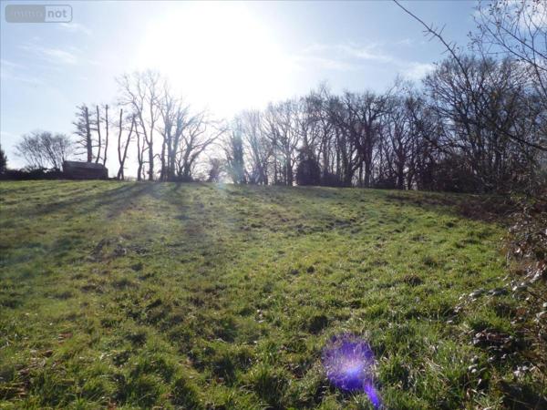 Terrain à Batir à vendre à La Haye dans la Manche (50250), ref : 50061-1092018