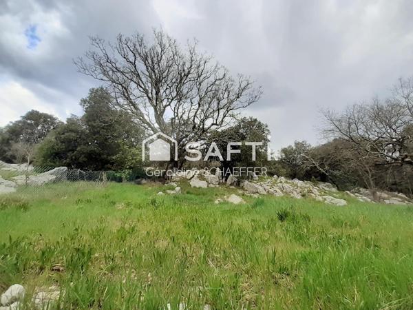 Maison de 105m2 sur une parcelle de 1437m2 +studio indépendant+ dépendance ou atelier