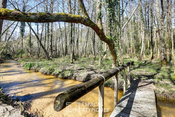 Propriété landaise avec gîte dans un parc arboré