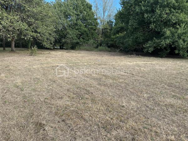 Terrain de 850 m²