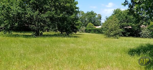 Vente terrain Lege Cap Ferret : 299 000 € - AJP Immobilier Lège-Cap-Ferret