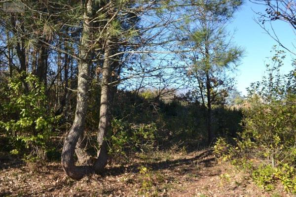 Terrain à Batir à vendre à Saint-Étienne-de-Fontbellon en Ardèche (07200), ref : 07068-720