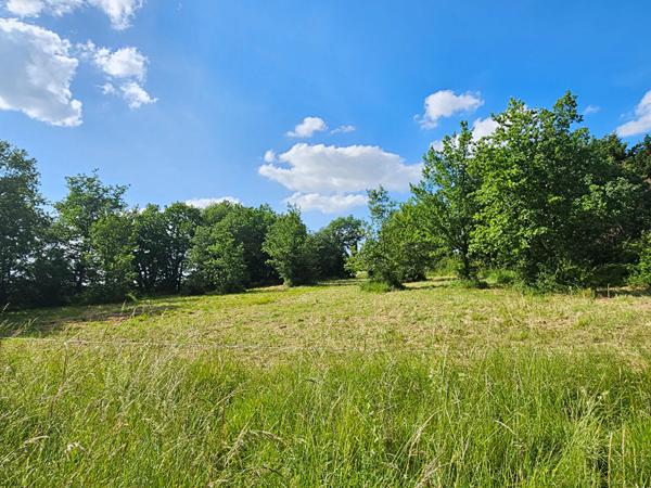 Achat terrain près de EAUZE - 3335 m² - 38 000 €