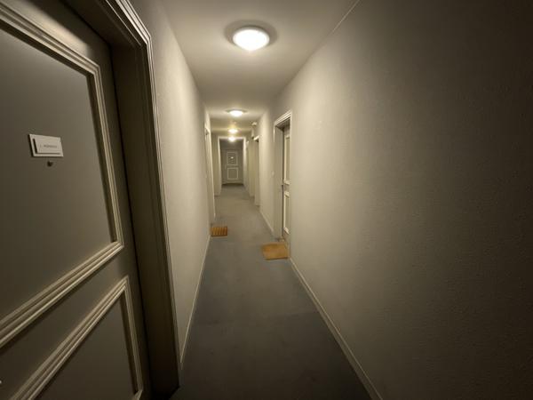 Villeurbanne (69100) Appartement T2+ Balcon de 2008 à Villeurbanne (quartier gratte-ciel, secteur Totem).