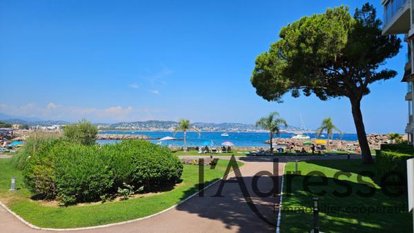 FORT POTENTIEL - 2/3 pièces - Cave et Parkings