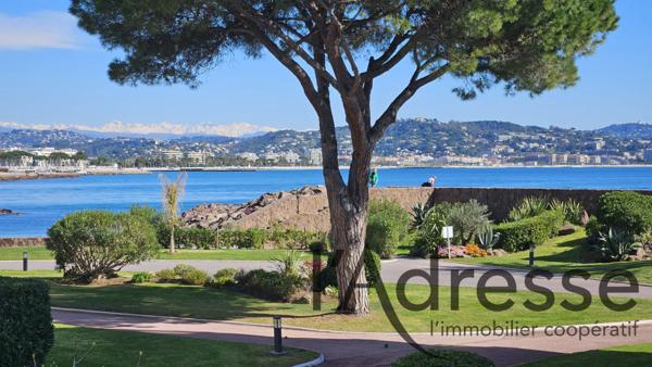 FORT POTENTIEL - 2/3 pièces - Cave et Parkings