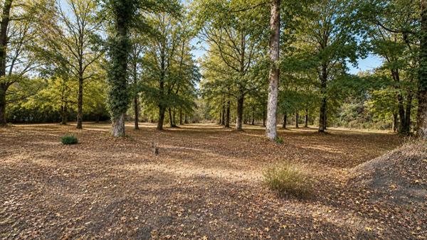 Propriété à vendre 215m² SAINT JEAN D'ILLAC (33)