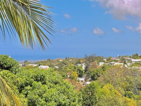 À vendre – Ensemble immobilier à La Rivière Saint-Louis (La Réunion)