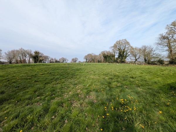 Bubry propriété composée d'une maison à usage d'habitation avec garage, deux petits hangars, une grange en pierre, une longère en pierre, un grand hangar avec ancienne étable, 1.5 hectare de terrain.