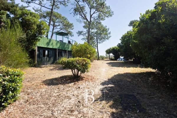 Lège-Cap-Ferret, Maison  145 m² à vendre