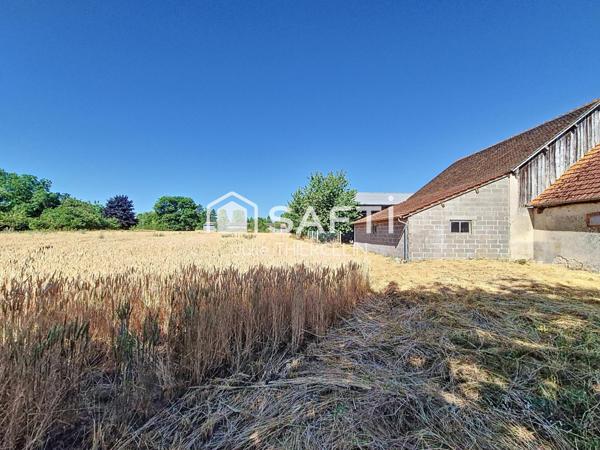 Maison à rénover avec grand terrain et dépendances