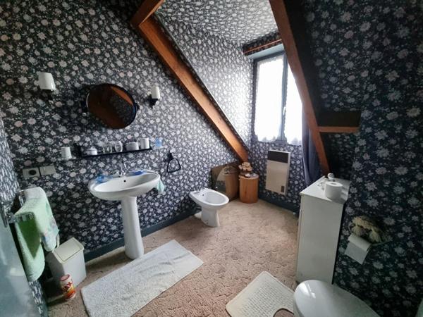 MAISON TRADITIONNELLE  et UN TRES BEL ETANG de plus de 4000m²