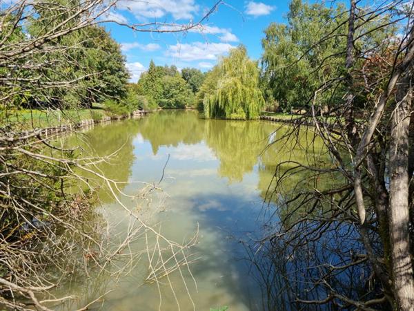 MAISON TRADITIONNELLE  et UN TRES BEL ETANG de plus de 4000m²
