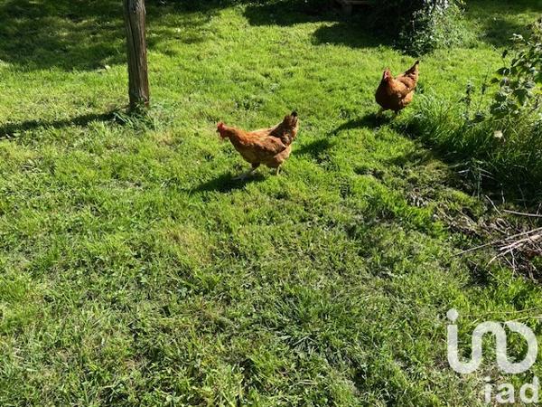 Maison à vendre 5 pièces 121 m² Saint-Gengoux-le-National