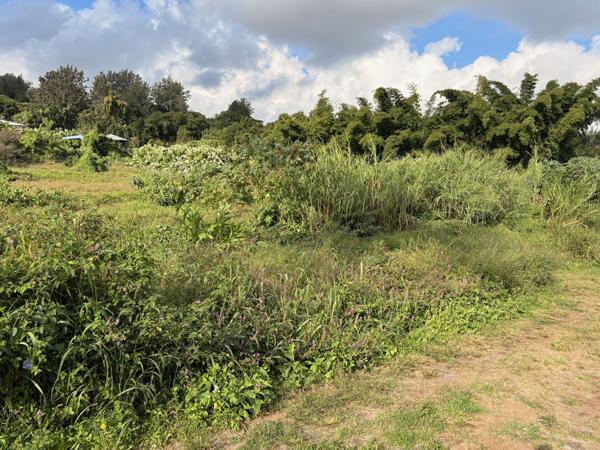 Terrain constructible Bras de pontho