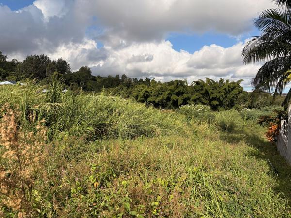 Terrain constructible Bras de pontho