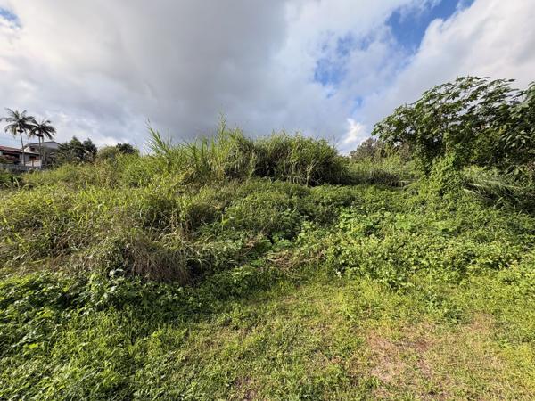 Terrain constructible Bras de pontho