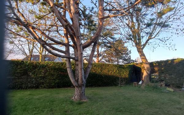 Maison à vendre    3 pièces •  Ver-sur-Mer