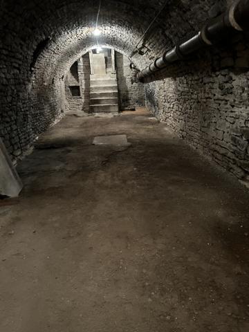 DIJON CENTRE : APPARTEMENT 3 CHAMBRES - CAVES