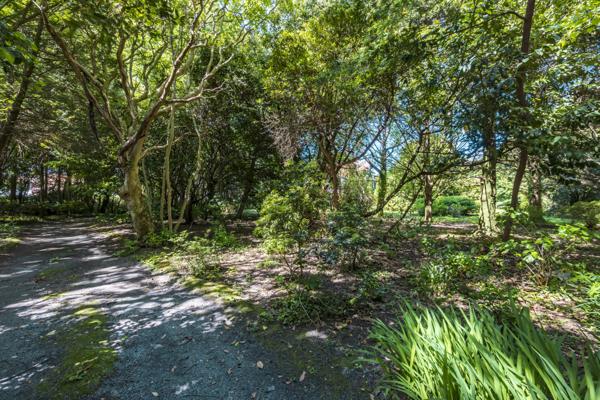 Biarritz (64200) LE BIJOU BIARROT