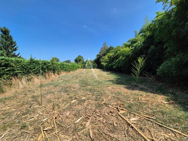 Villeneuve De Marsan