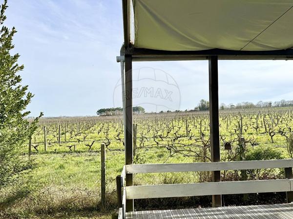 Maison  en vente - Charente-Maritime - 17