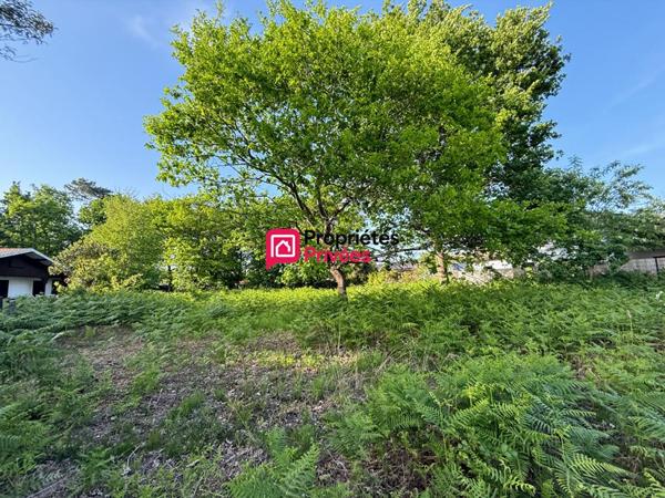 HOURTIN PORT - TERRAIN VIABILISE - 989M2 HORS LOTISSEMENT
