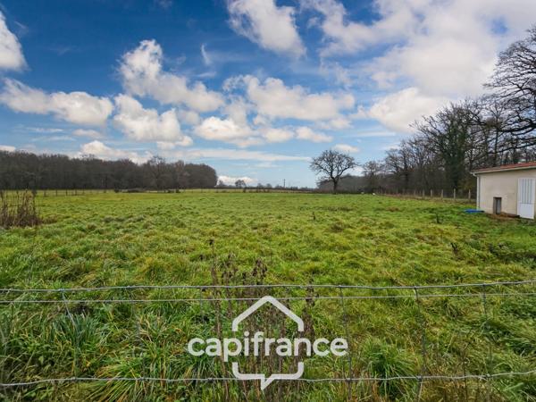 Dpt nièvre (58), DORNES, Maison à vendre 6 pièces, 152m², terrain 4700m², dépendances