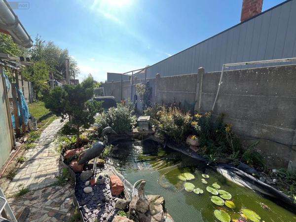 Achat - Maison | Maison individuelle Hazebrouck 59190 7 pièces 109 m 2 336 m 2