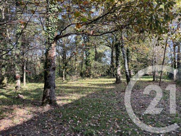Terrain à vendre  826 m2 BOULOC - 31