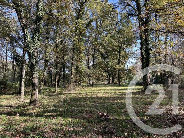 Terrain à vendre  826 m2 BOULOC - 31