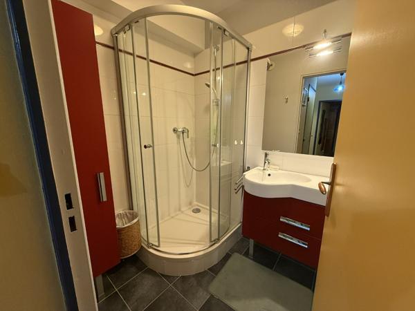 Appartement à LA CHAPELLE SAINT MESMIN (45380)
